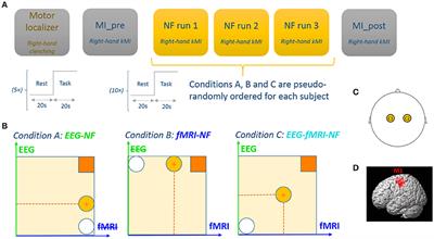 Unimodal Versus Bimodal <mark class="highlighted">EEG-fMRI</mark> Neurofeedback of a Motor Imagery Task